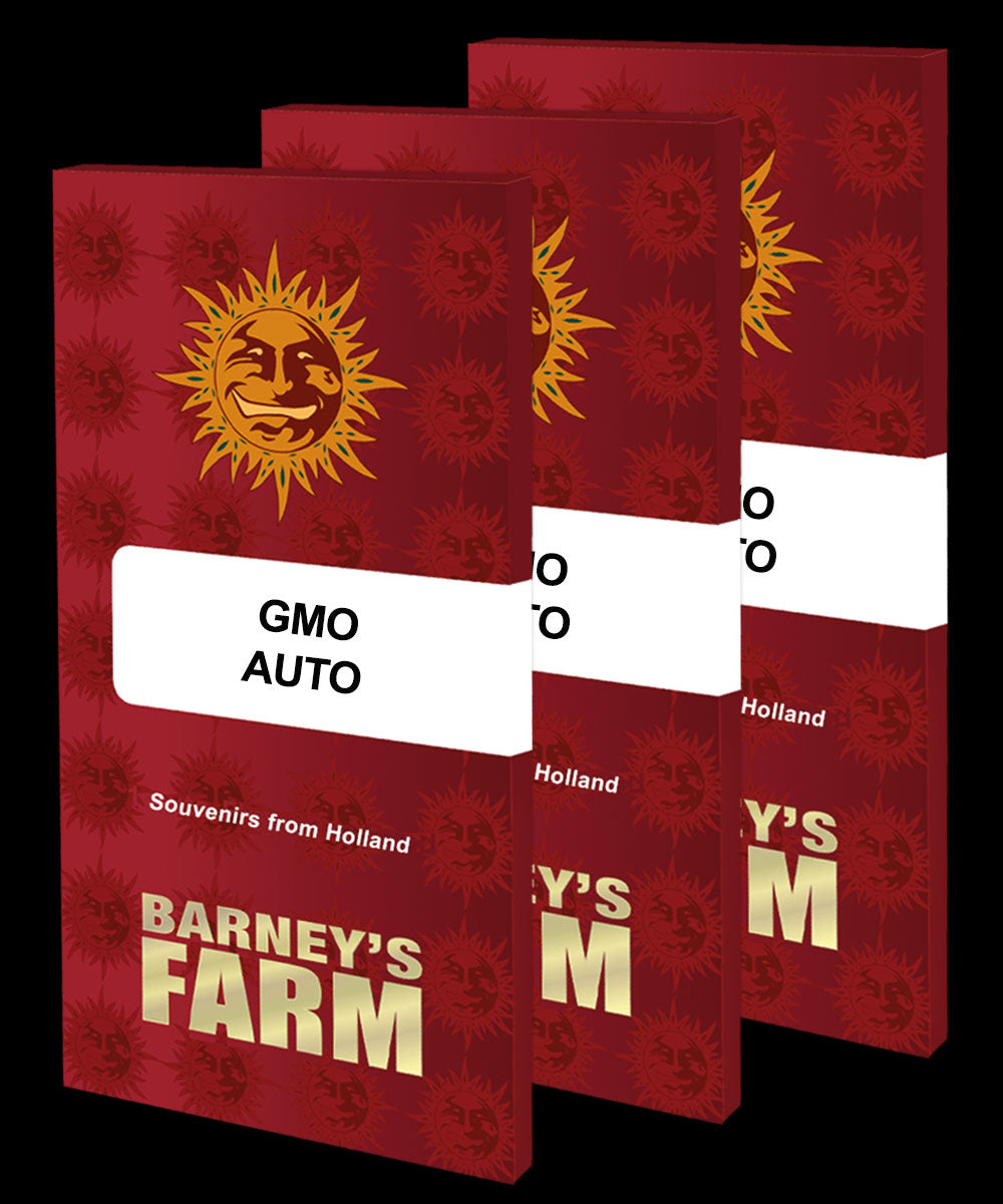 GMO AUTO STRAIN