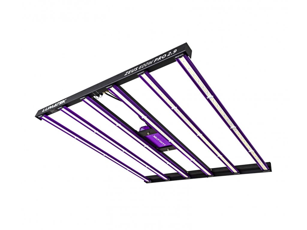 Zeus 600W PRO 2.9