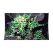 V-SYNDICATE GLASS TRAYS
