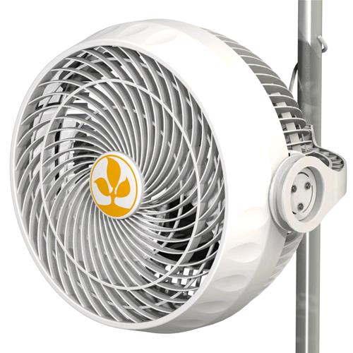 Secret Jardin – Monkey Fan 30W