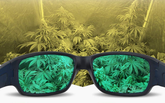 Airontek – Glasses For Growroom – For Led And Hps