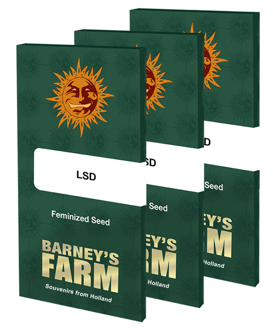 LSD™ Cannabis Seeds (3)