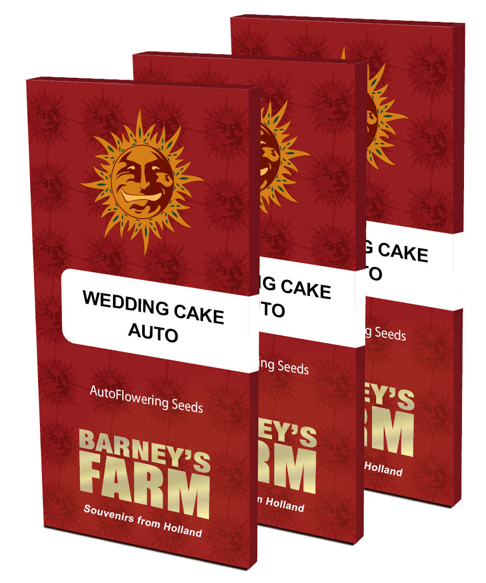 WEDDING CAKE AUTO (3)